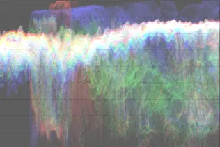 Histogram of bird after shoulder power adjustment