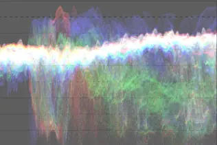 Histogram of bird before shoulder power adjustment