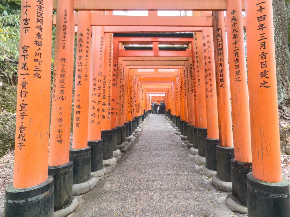 Final version of Torii gates