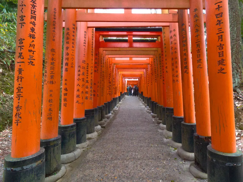 Torii gates before adjustments