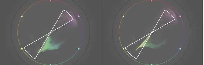purple flower color wheel before and after