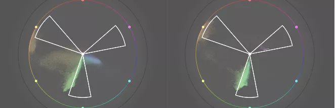 white flower color wheel before and after