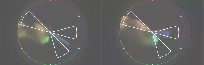 yellow flower color wheel before and after