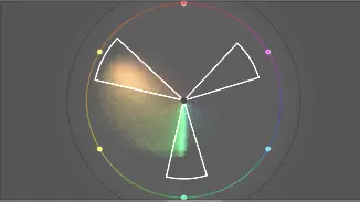 lizard image color wheel after adjustments