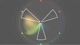 lizard image color wheel before adjustments