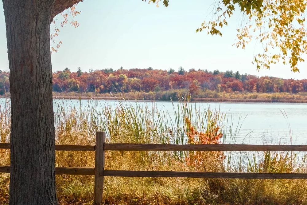 Scene of lake after color harmony adjustments