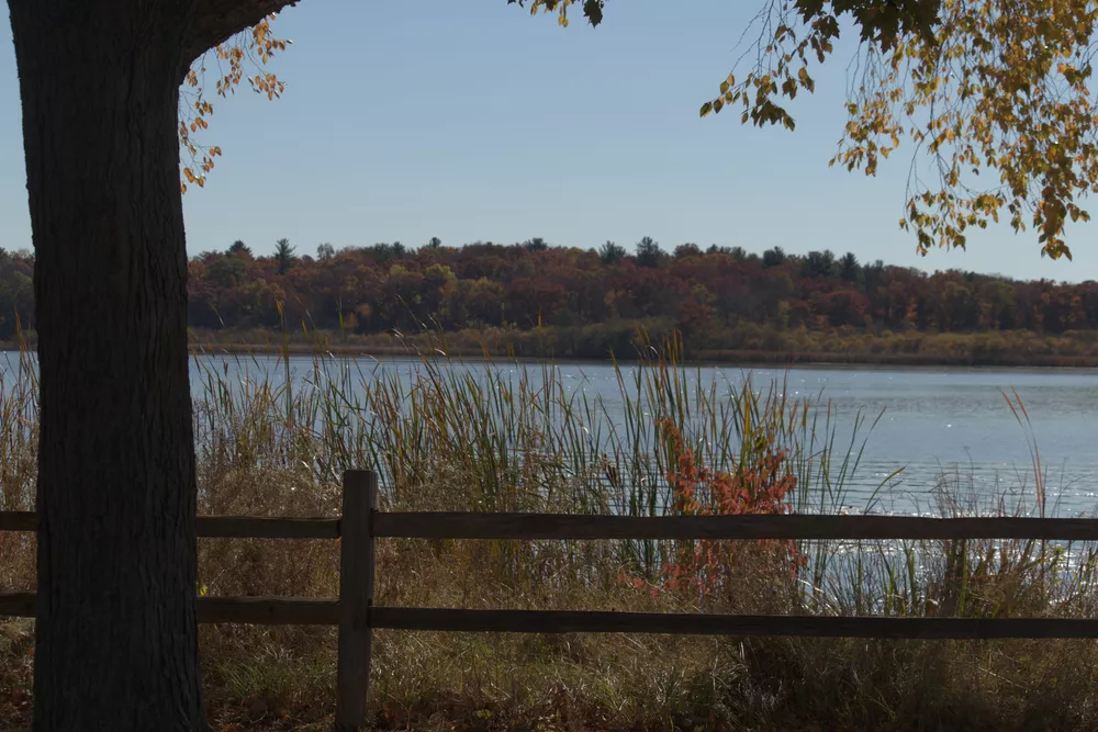 Scene of lake before color harmony adjustments