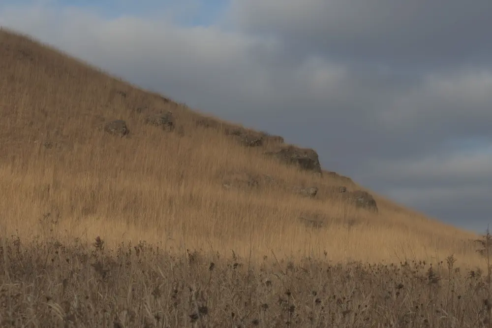 original image of grasses and clouds