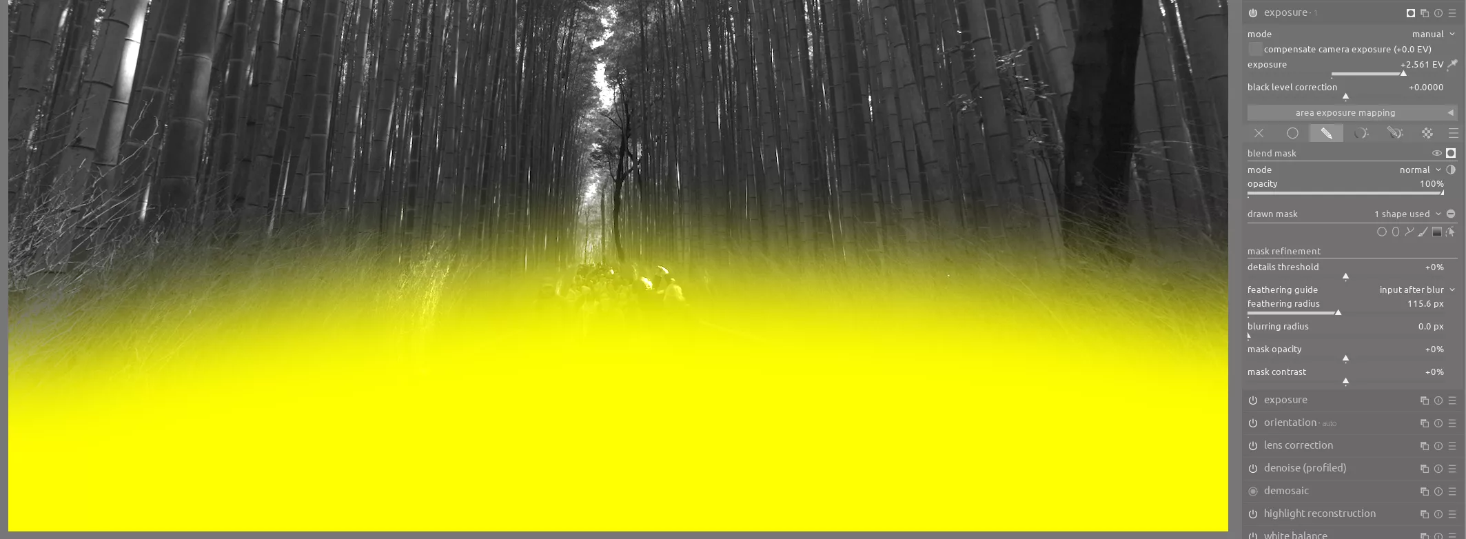 bamboo exposure module