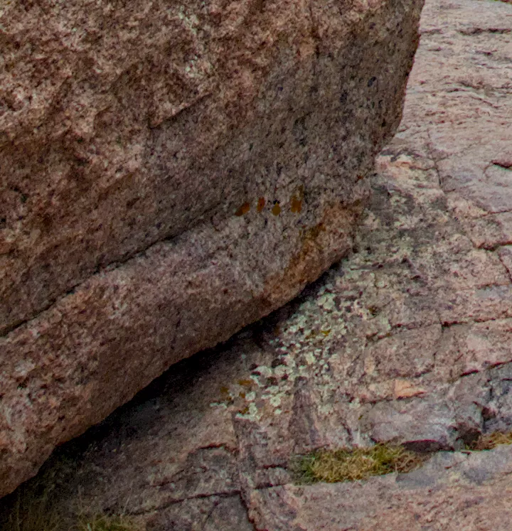 zoomed in image of the foreground