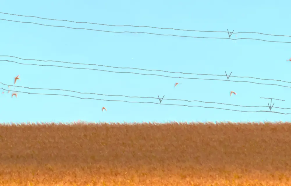 the brush shapes used to remove the power lines