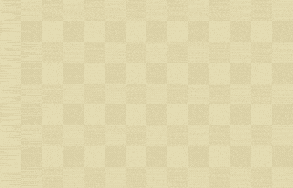 animation showing the image at different layers using wavelets