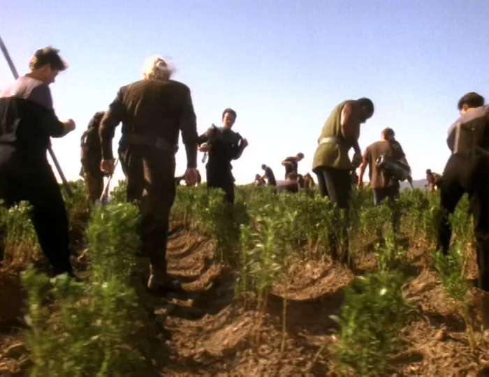 The Defiant crew takes part in the annual planting ritual